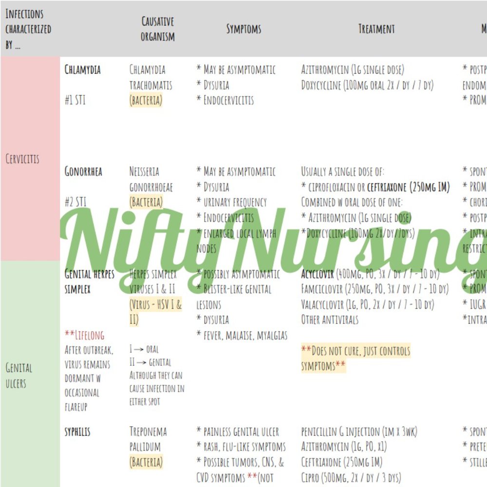 Women's Health Study Guide - Picture 2 of 9